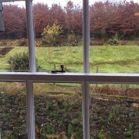 The Forest Inn Dartmoor Yelverton Buitenkant foto